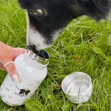 Personalised Dog Combi BBottle