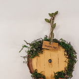 Personalised Hobbit Door