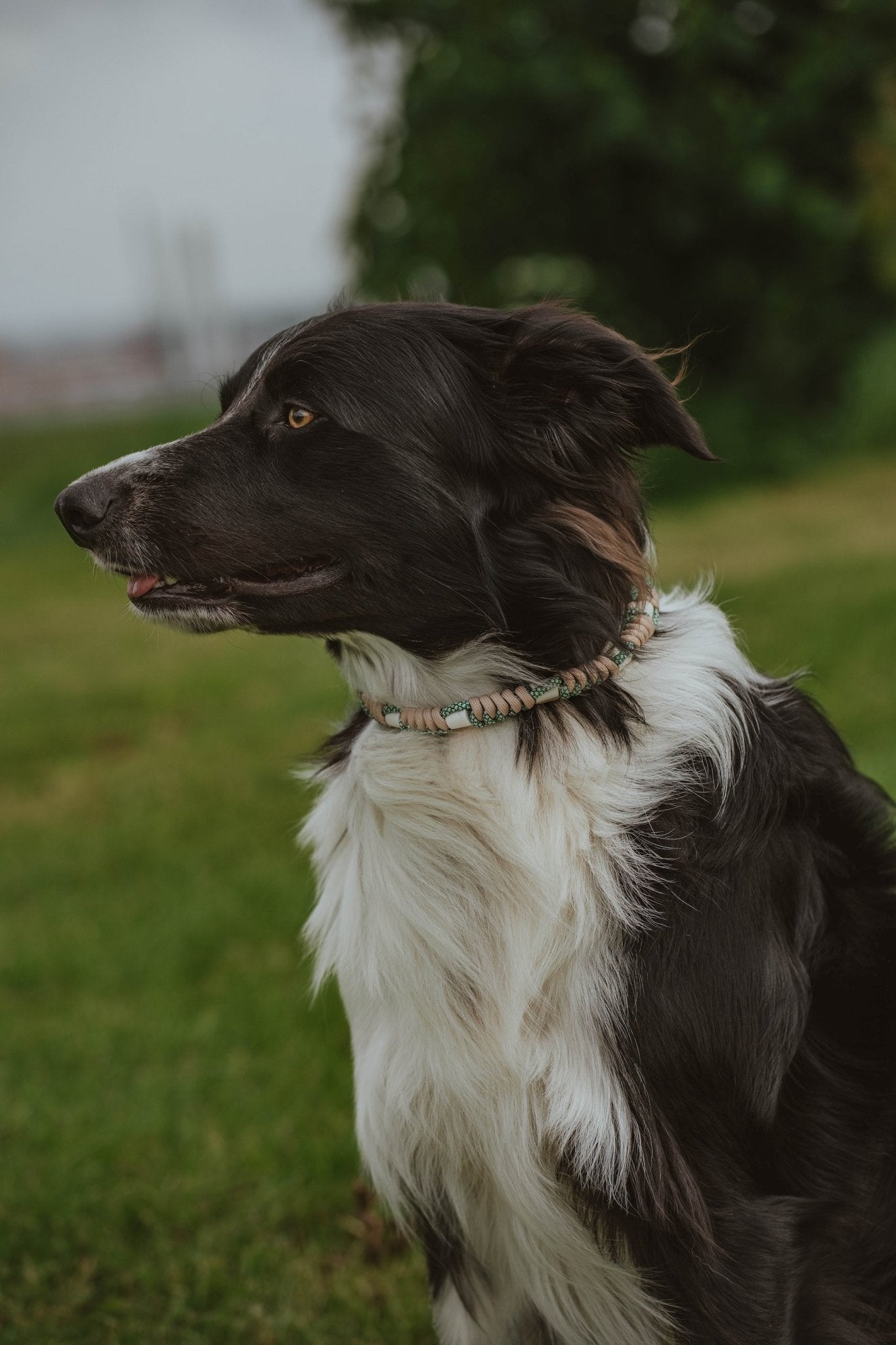 Anti Tick Dog Necklace - Birdie Barn