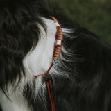 Anti Tick Dog Necklace - Birdie Barn