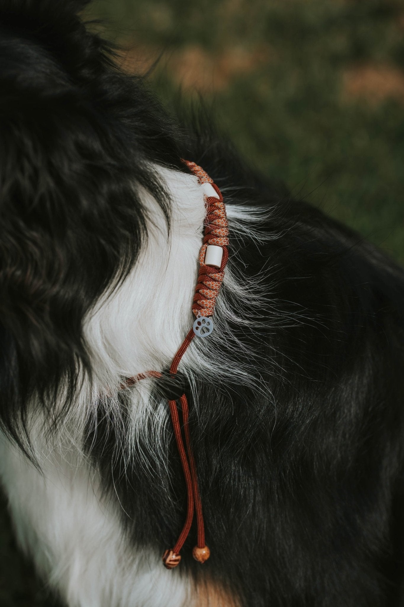 Anti Tick Dog Necklace - Birdie Barn