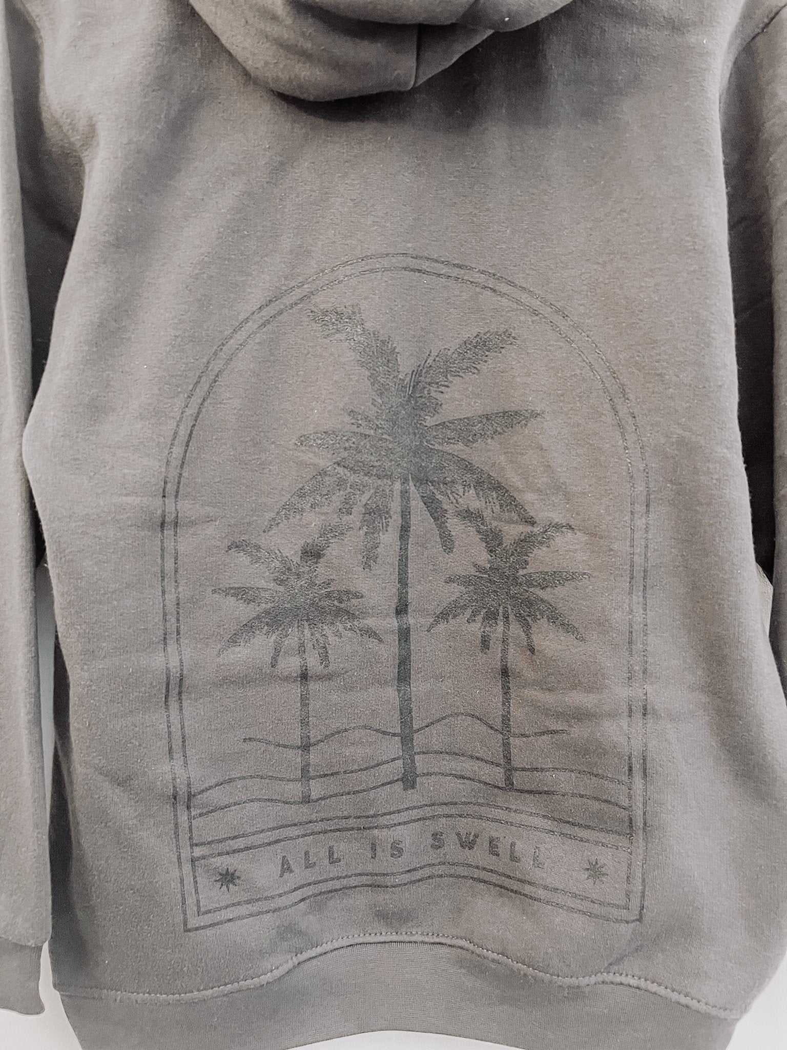 INCORRECT PRINT Limited Edition 2023 Hoodie - XS - Birdie Barn