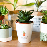 Such a Prick Ceramic Plant Pot