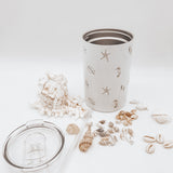 Palm Shells 12oz Tumbler