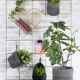 Heart Fruit Basket - Gold