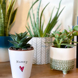 Personalised Heart Ceramic Plant Pot