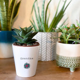 Personalised Flower Ceramic Plant Pot