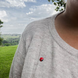 Ladybug Pin