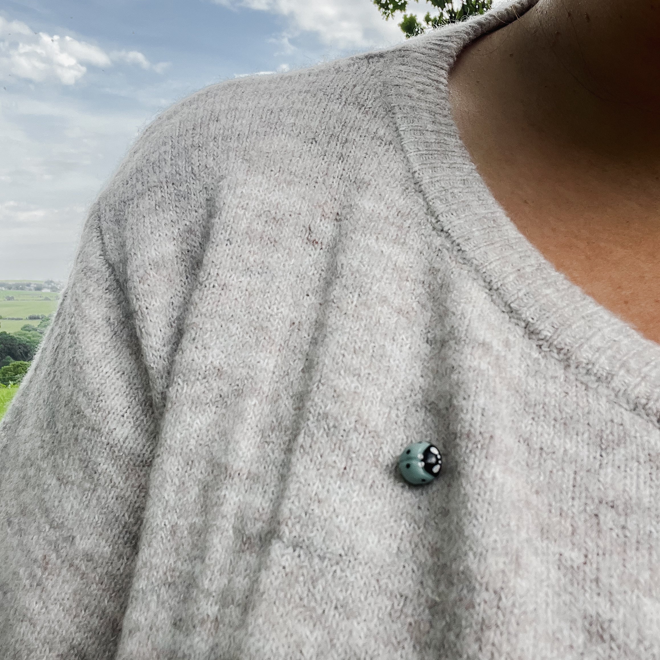 Ladybug Pin