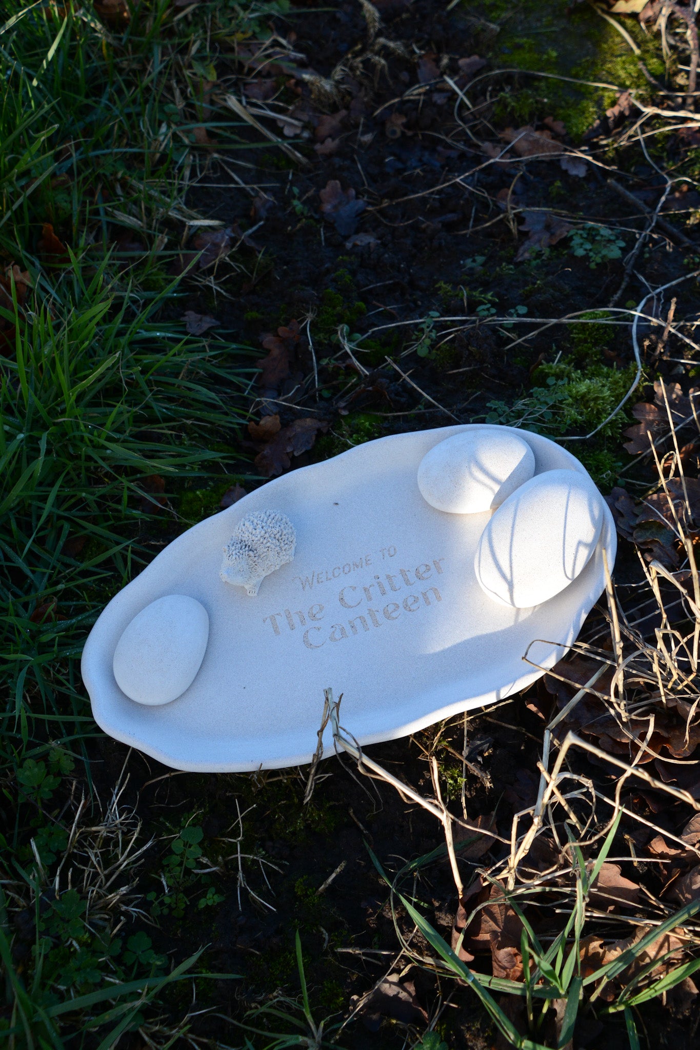 New custom nature plates