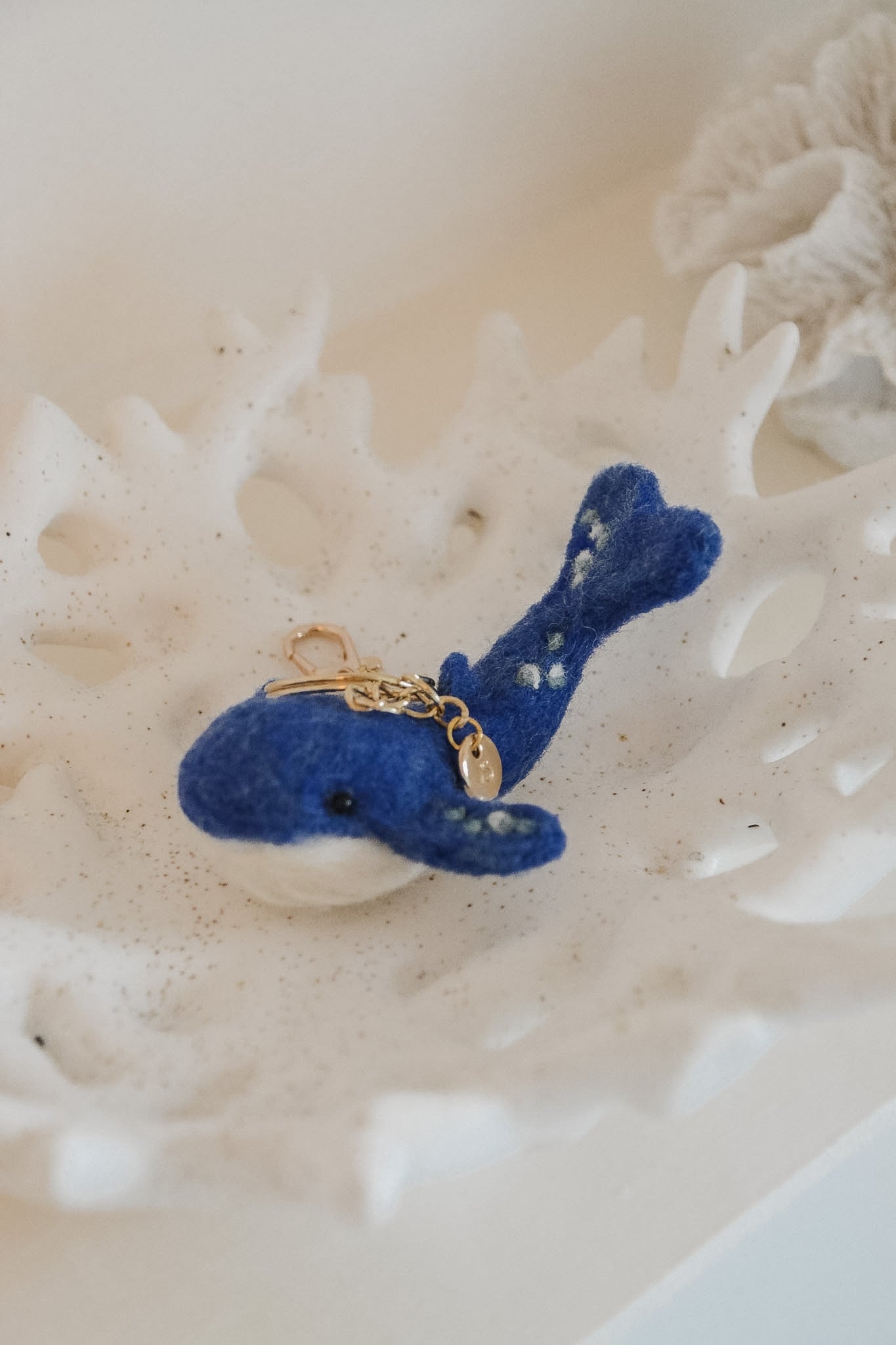 A new chapter begins...