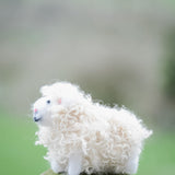 Betsy - Needle Felt Sheep