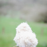 Betsy - Needle Felt Sheep