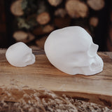 Solid Skulls - Set of 2