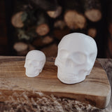 Solid Skulls - Set of 2
