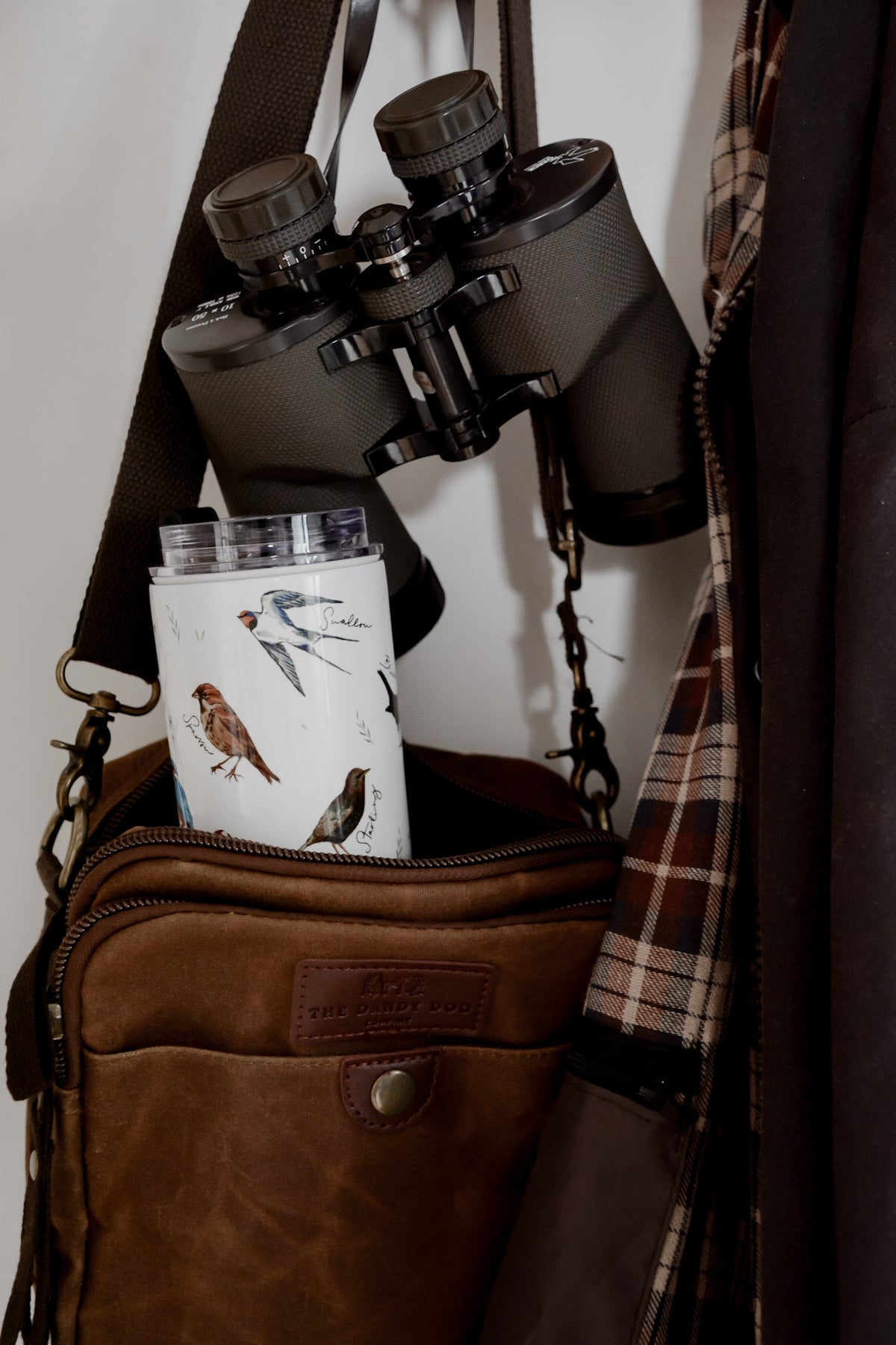 Get Set for Autumn walks