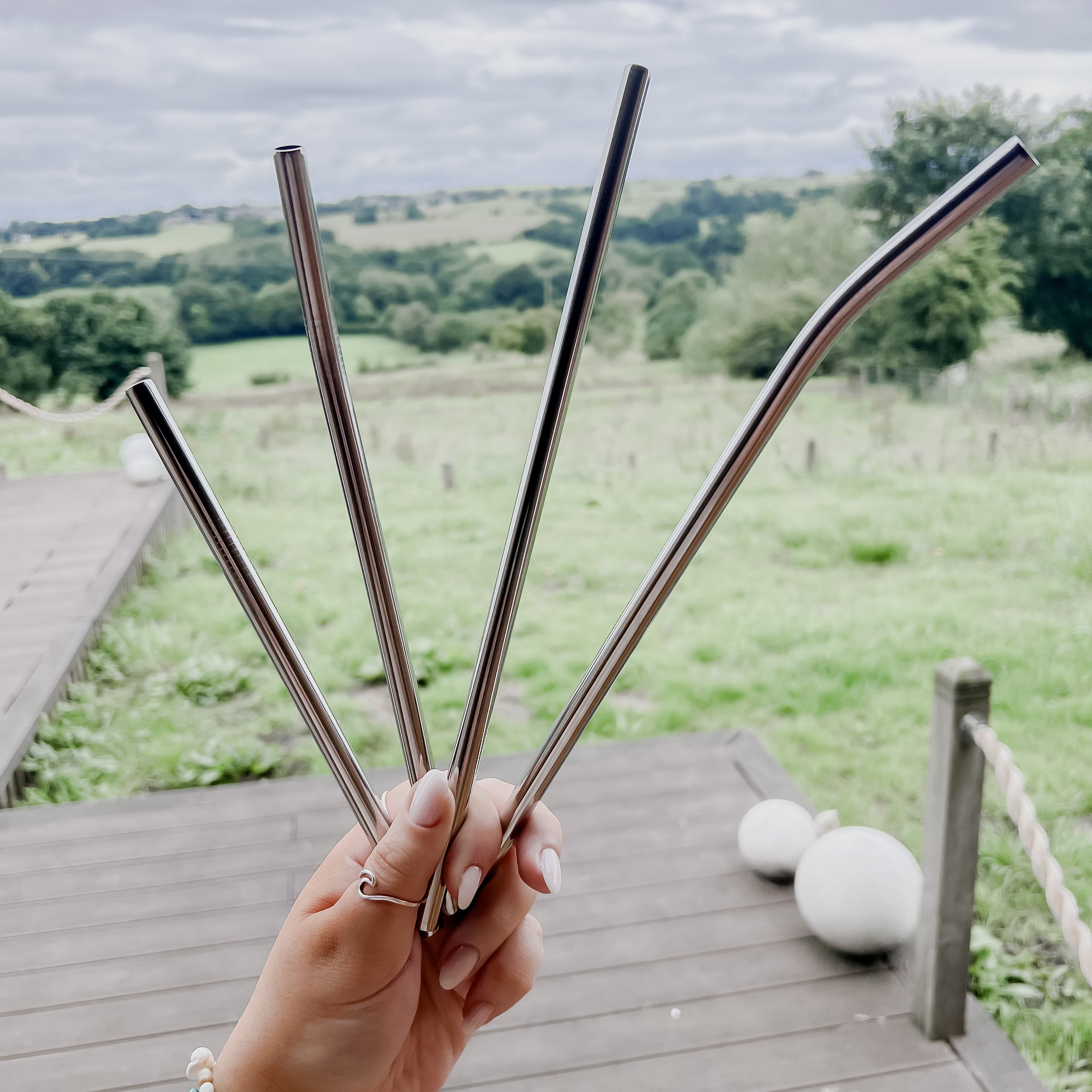 Metal Straws