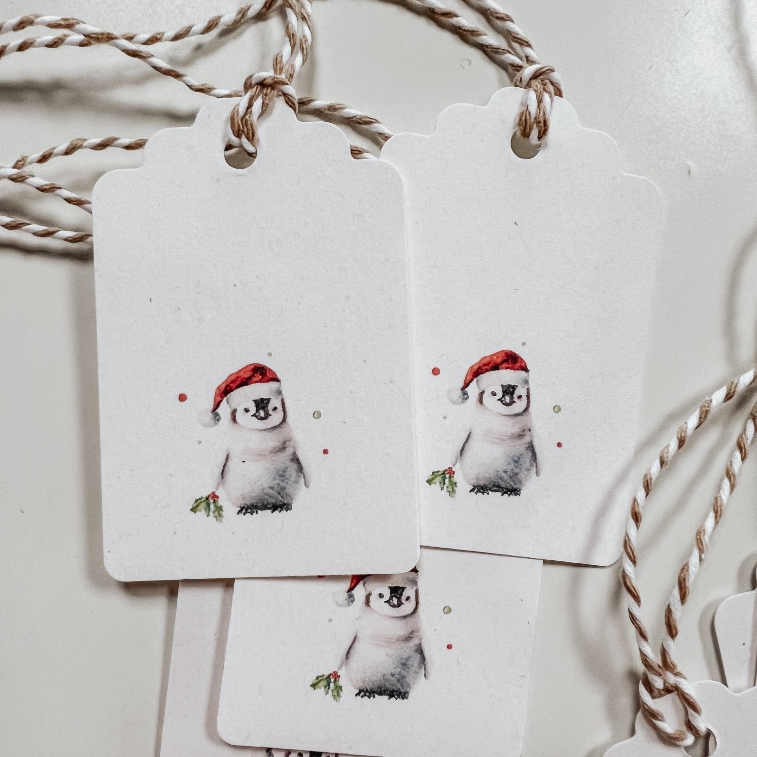 Baby Penguin ECO Gift Tags - Birdie Barn