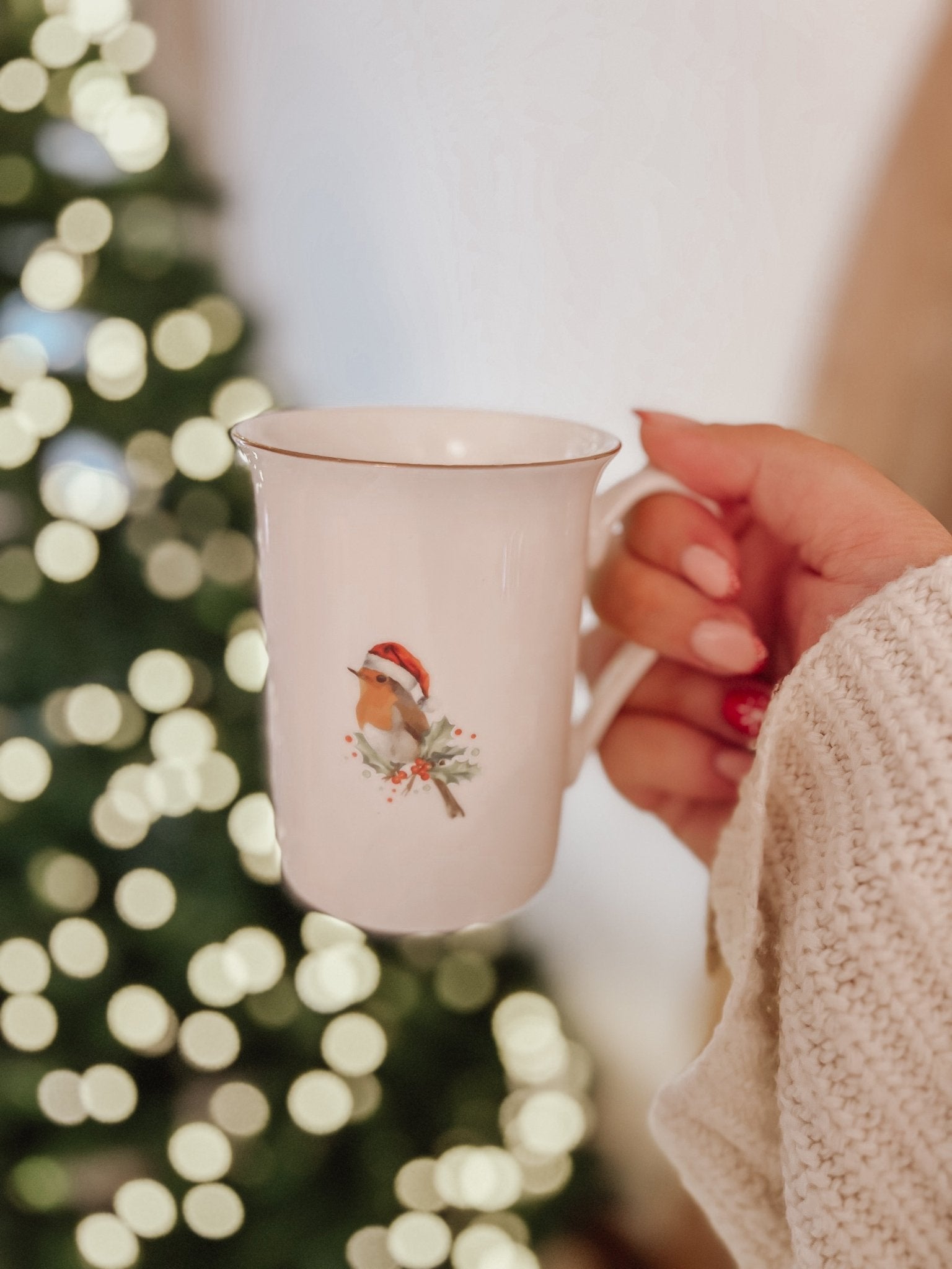 Christmas Robin Bone China Mug - Birdie Barn