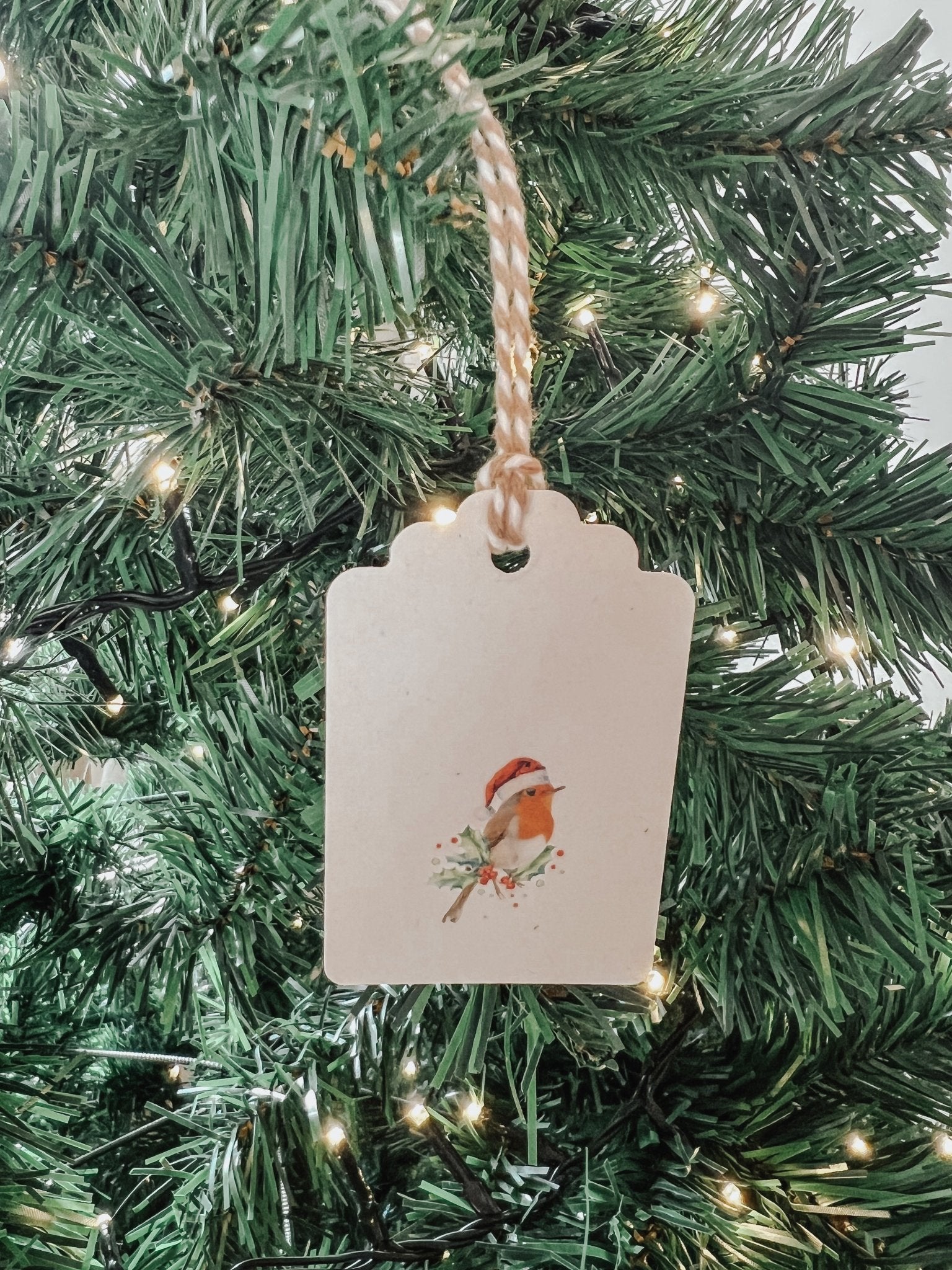 Christmas Robin ECO Gift Tags - Birdie Barn