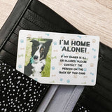 In Case Of Emergency I'm Alone Personalised Pet Card - Birdie Barn