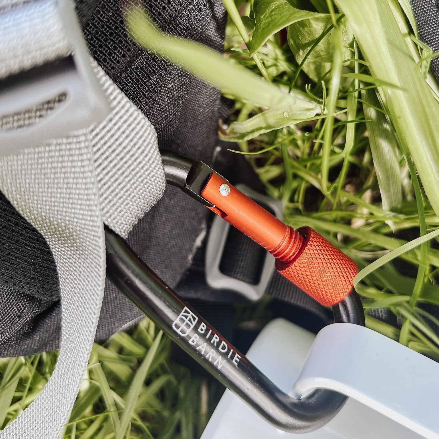 Locking Carabiner - Birdie Barn