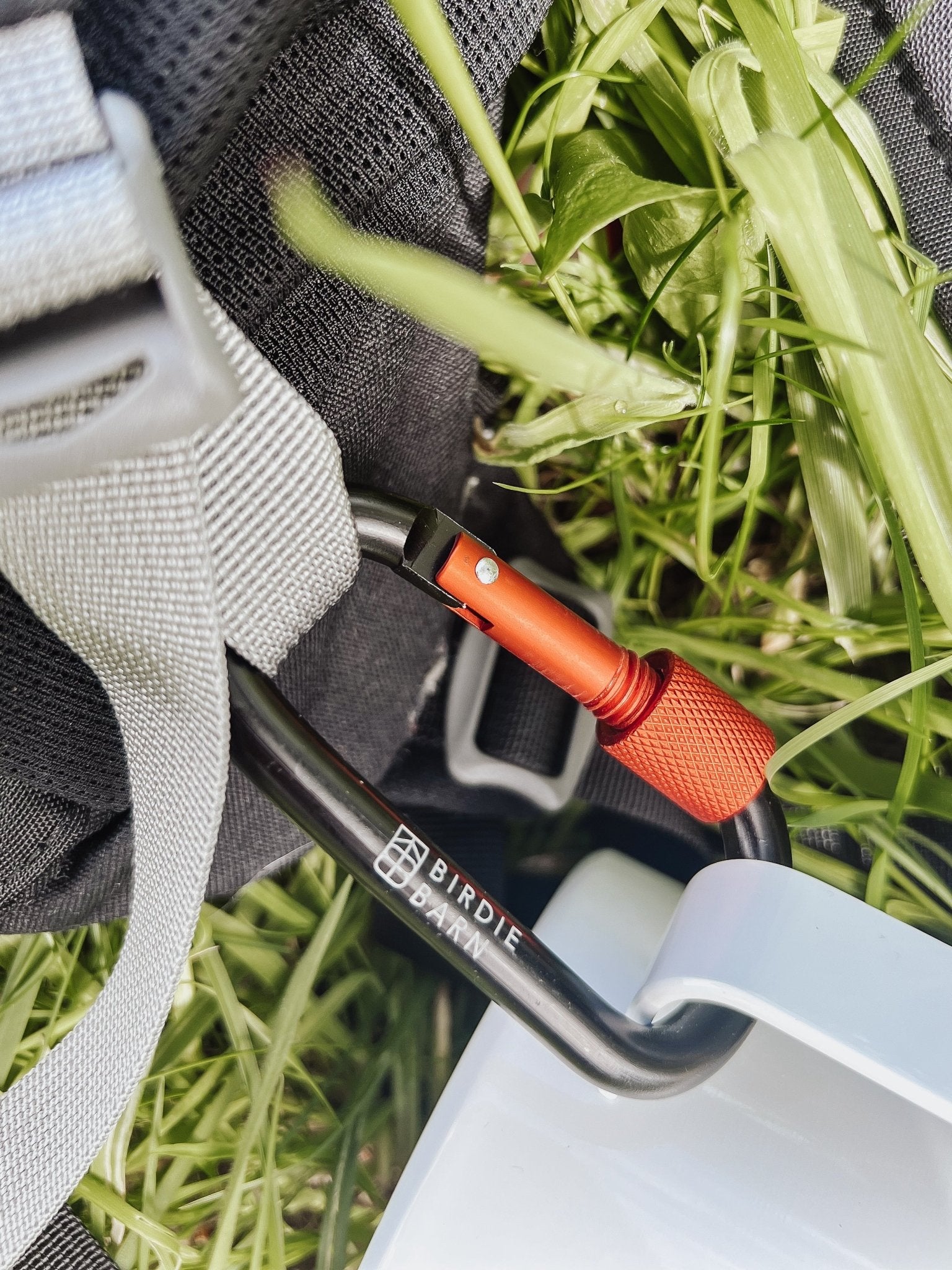 Locking Carabiner - Birdie Barn