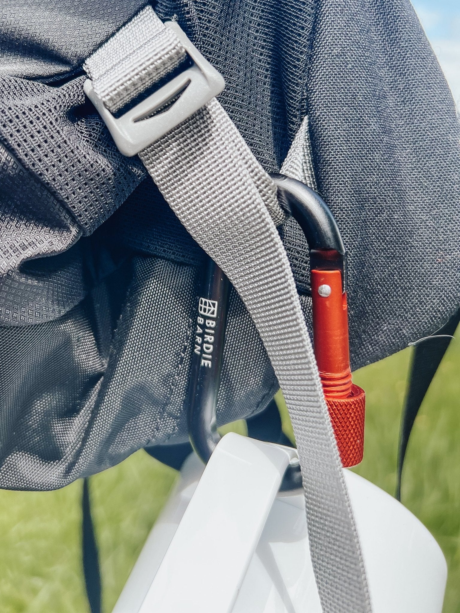 Locking Carabiner - Birdie Barn