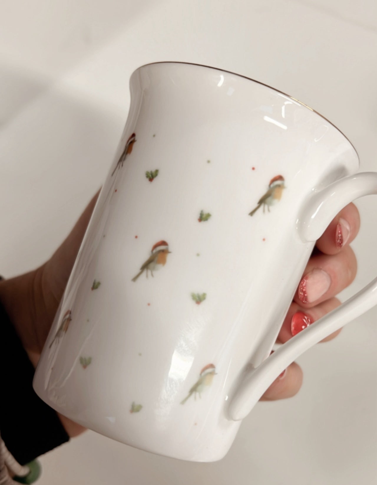 Patterned Christmas Robin Bone China Mug - FADED PRINT - Birdie Barn